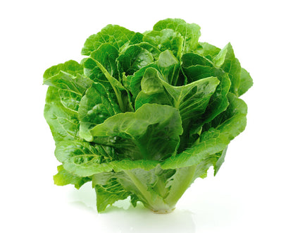 Salad Greens Seed Bundle for Flex Farm