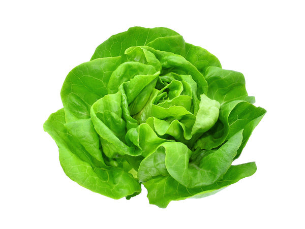 Salad Greens Seed Bundle for Flex Farm